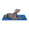 FreeDog Cool Bed AZUL 65 x 50cm espuma 100 Recycled